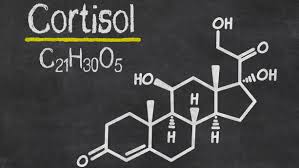 ANALISI in farmacia - CORTISOLO